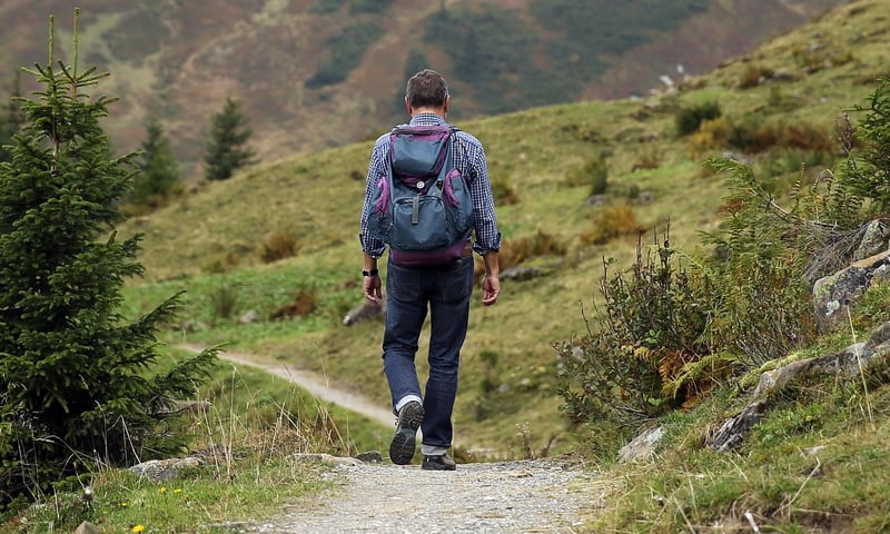 Hiking in the wilderness
